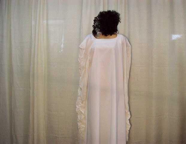 Rental store for BRIDE OF FRANKENSTIEN W WIG in Howell MI