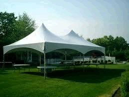 Rental store for FRAME TENT, 20 X 40 in Howell MI